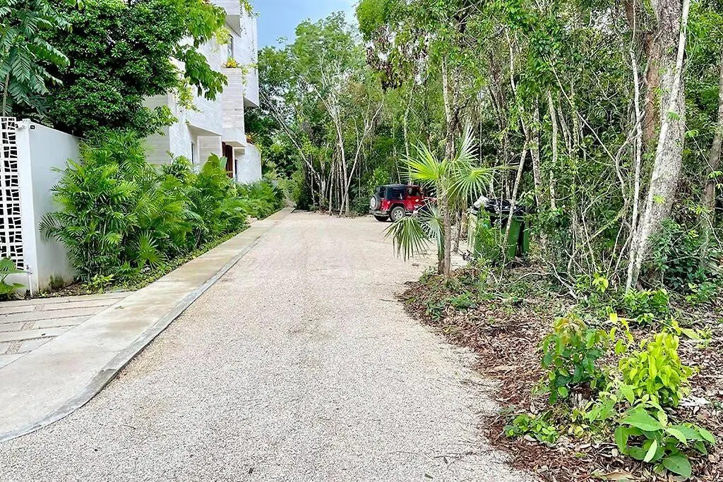 The Jungle Complex Experience Tulum Studio 525 Mexico